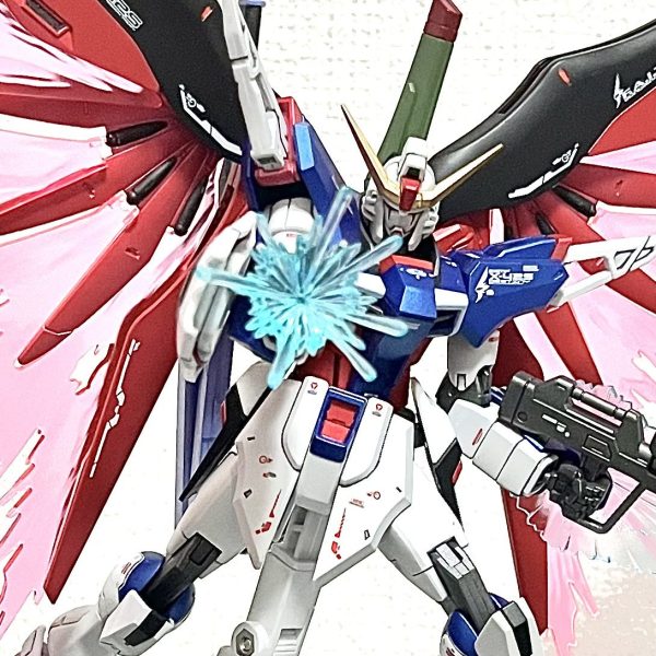 HGCE デスティニーガンダム