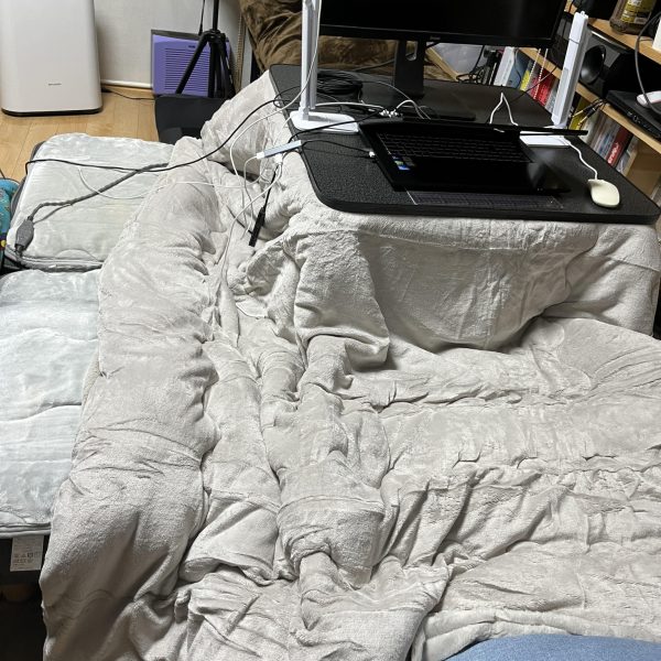 ●秋冬期怠惰なる模型人の巣…完成