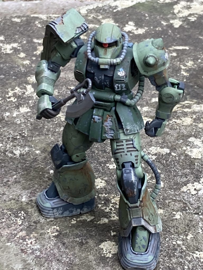 珍しくお庭撮影です。