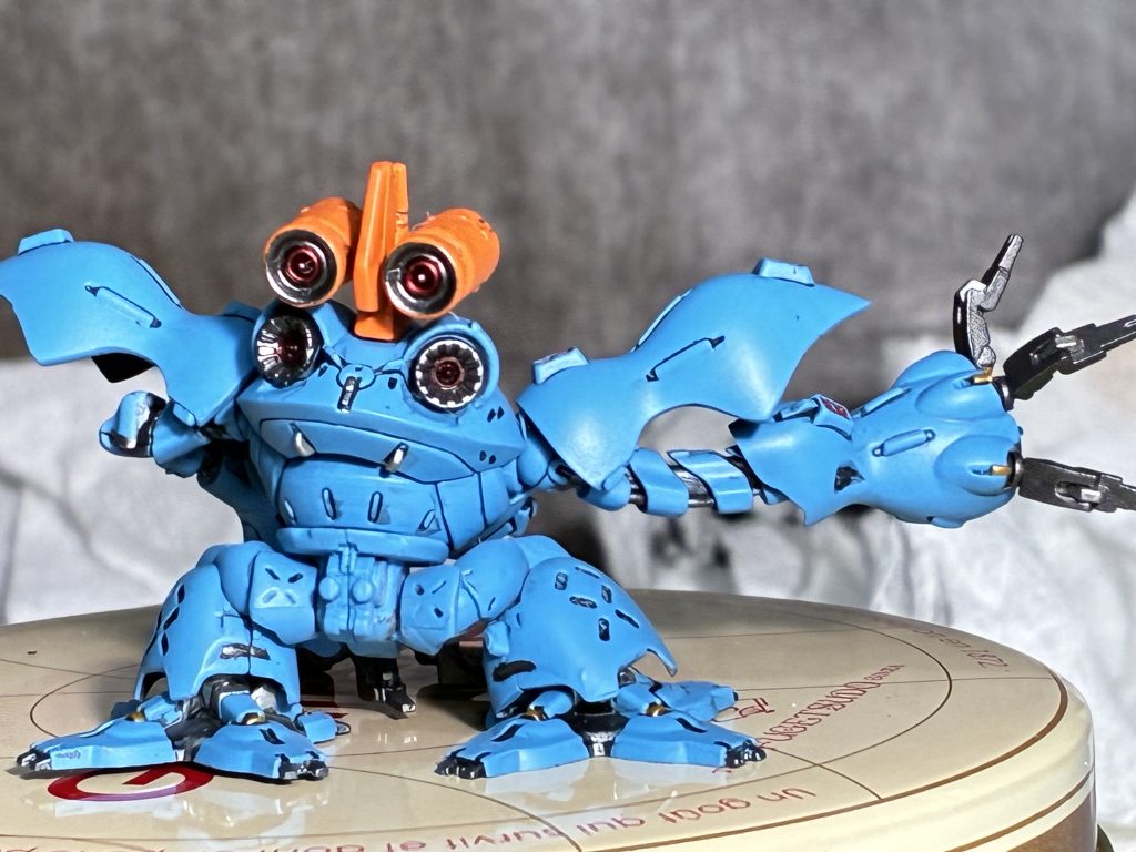 後頭部がカエルの顔にしか見えません（笑）