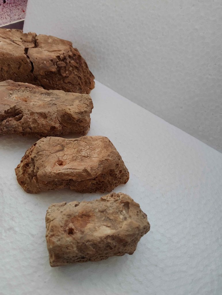 「初の本格ジオラマとして、“派手さよりも構造美”を意識しました。<br>     色を重ねすぎず、素朴な中にリアルを残す——。<br>     小さな岩でも、見る角度によって風景が変わる。そんな一体感を目指しました。」