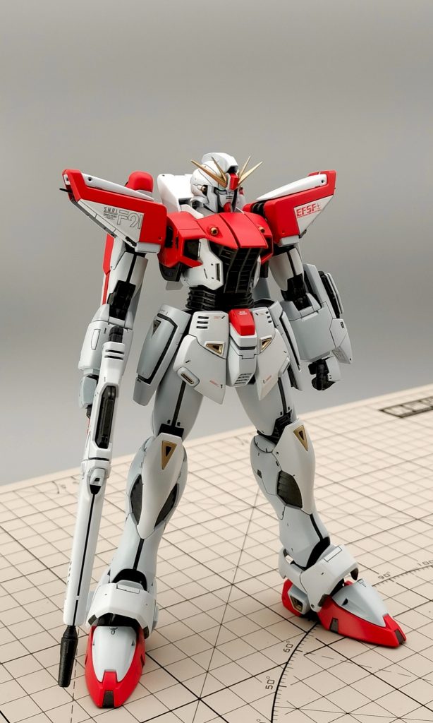 右向きの写真だけカメラアイが光りました。相変わらず写真は難しい