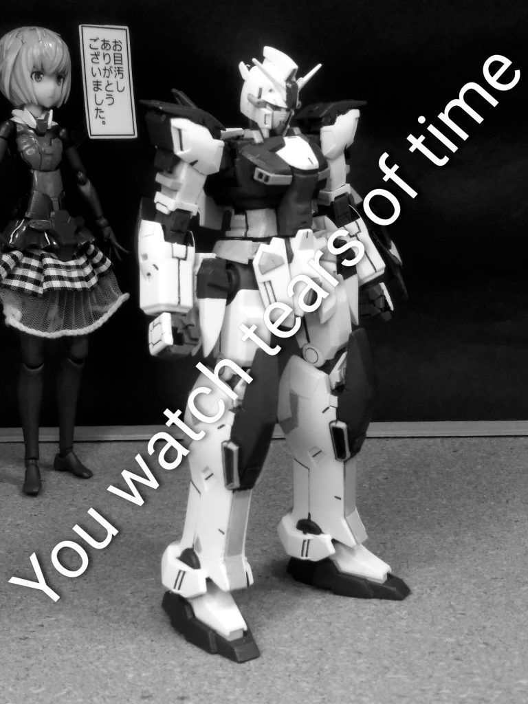 Next time preview          『GUNDAM KESTREL❓』                     お目汚し ありがとうございました。