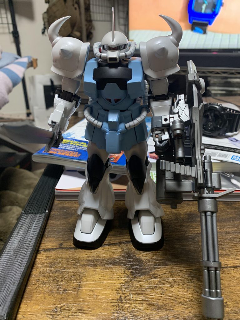 グフカスタム　ヴァイス・ローゼ–2枚目/制作者：T.S