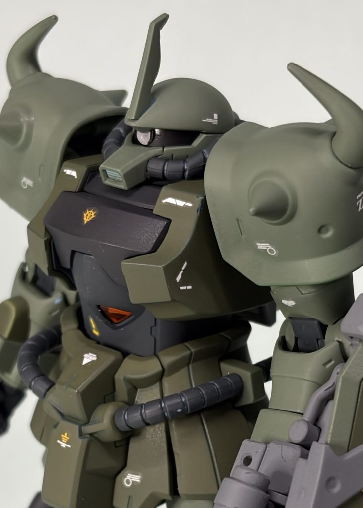 グフカスタム(ヴィッシュ・ドナヒュー専用機)
