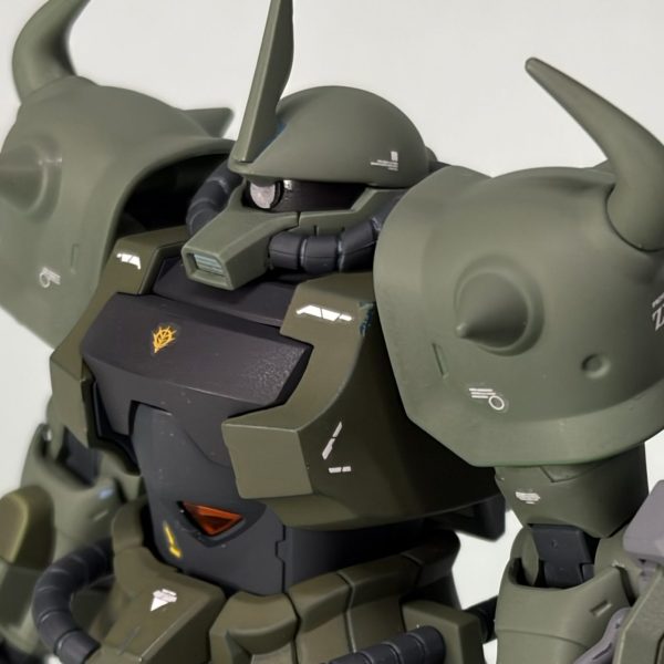 グフカスタム(ヴィッシュ・ドナヒュー専用機)