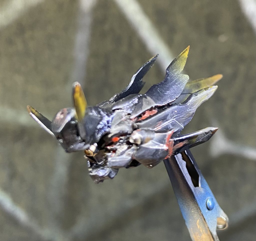 気持ち悪いですねー