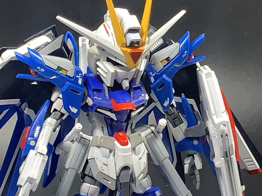 ライジングフリーダムガンダム見参‼️