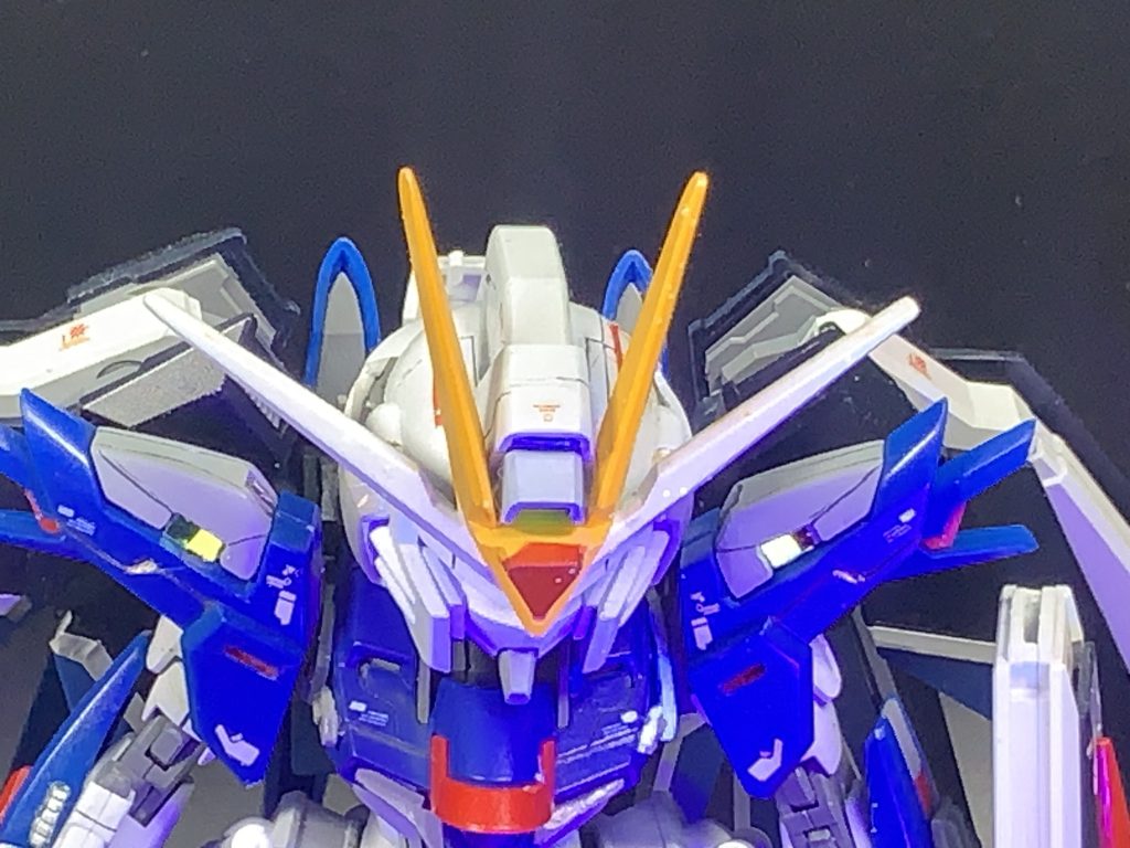 上部からのショット。