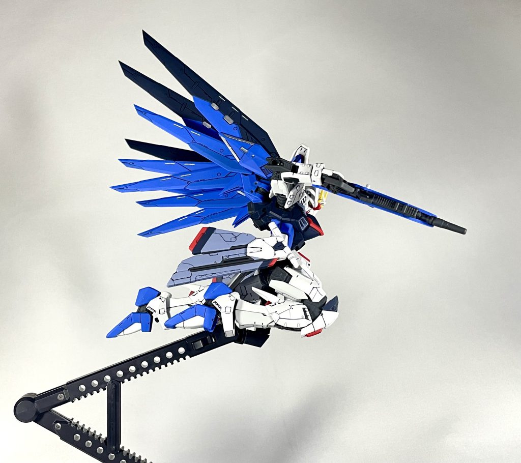 羽根のまとまりがカッコいい。