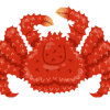 カニだいすき