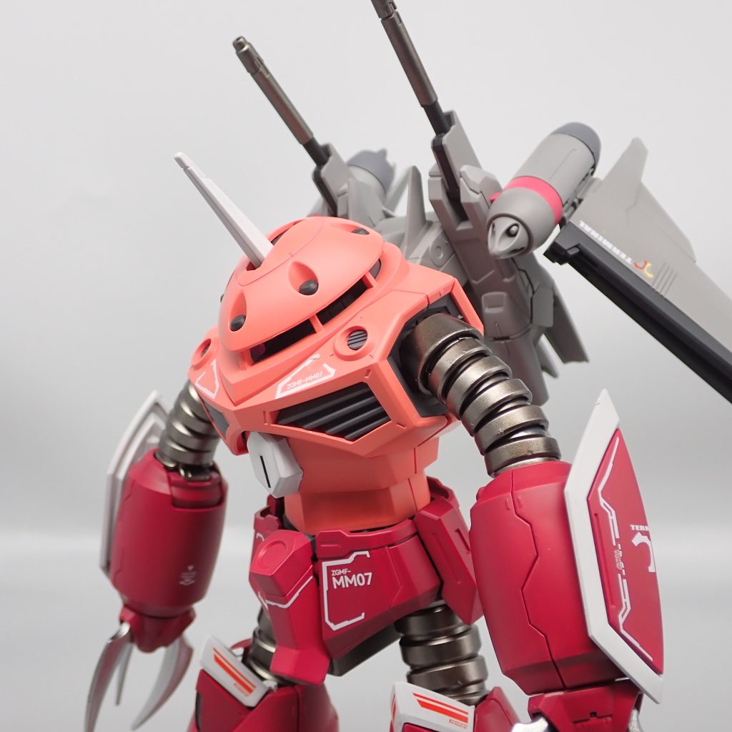 ズゴック　SEEDFREEDOMVer–3枚目/制作者：アンジェロのプラモデル工房