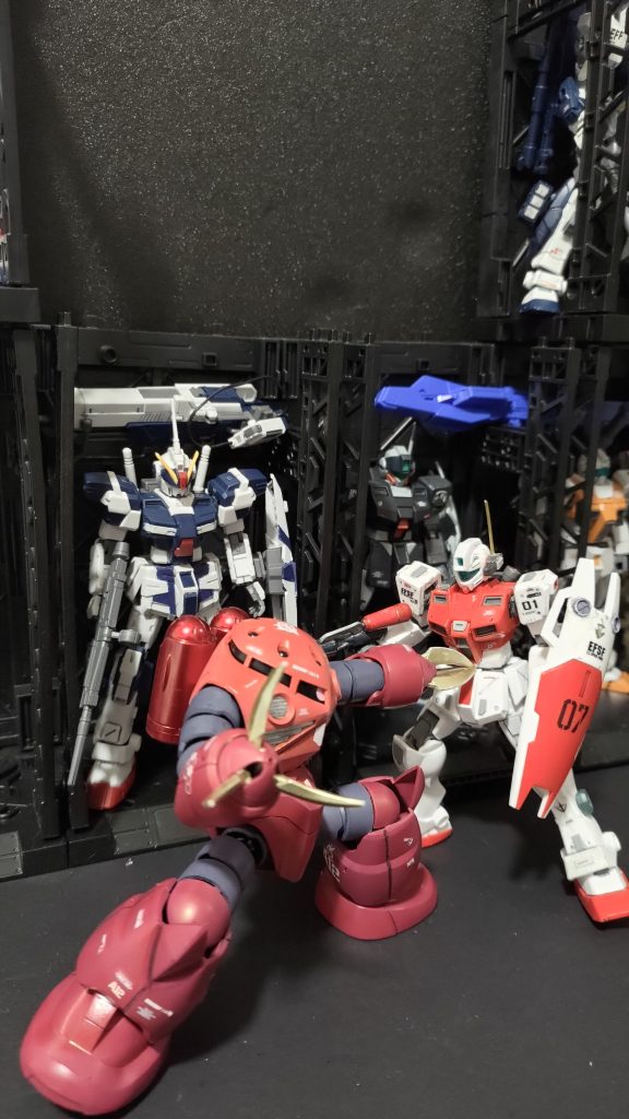 hg シャア専用ズゴック　