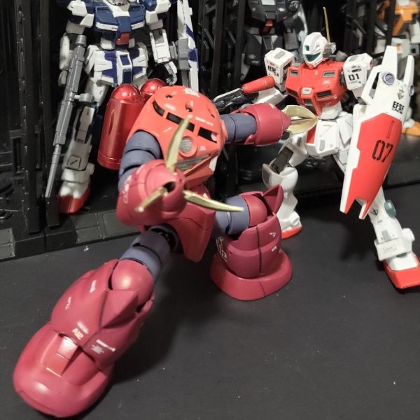 hg シャア専用ズゴック　