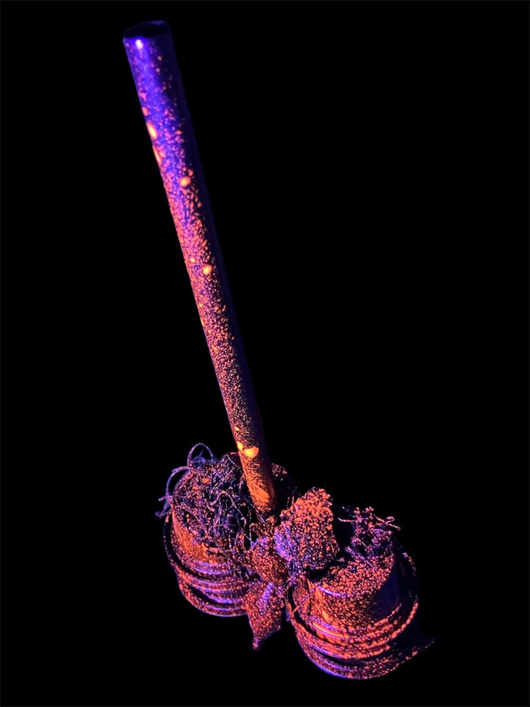 ・・・んんんっ！？か、カイラスギリーが‼️