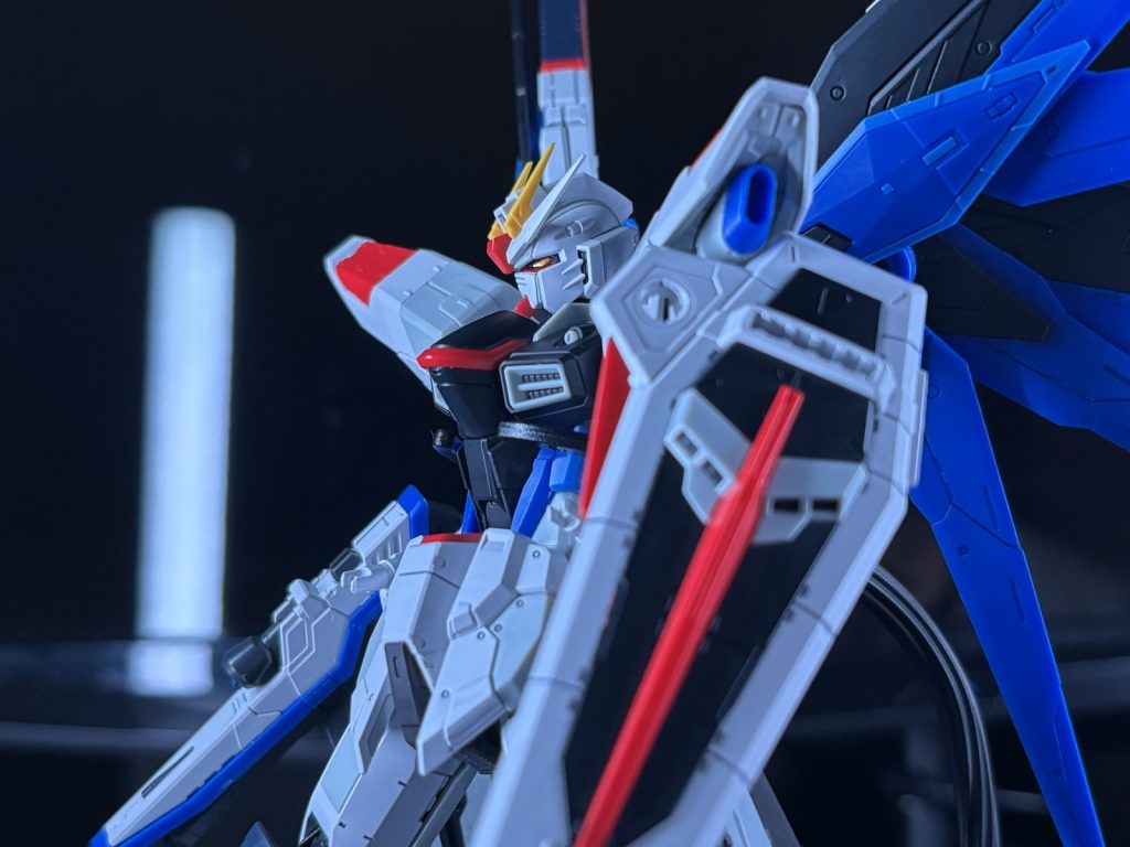 RGフリーダムガンダムver.GCP