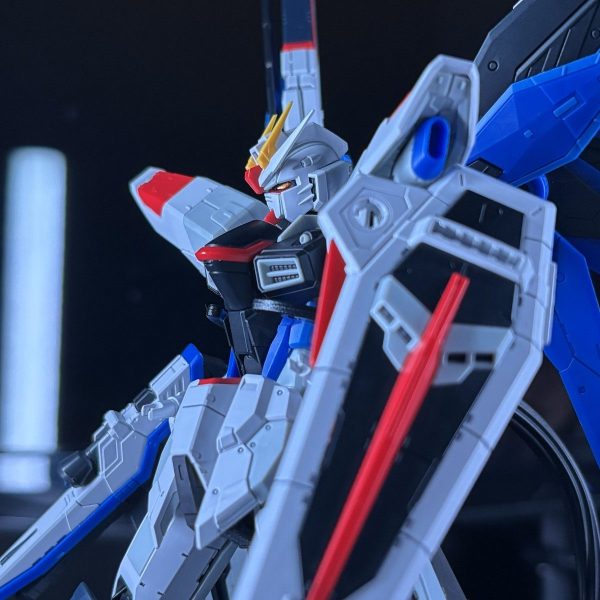 RGフリーダムガンダムver.GCP