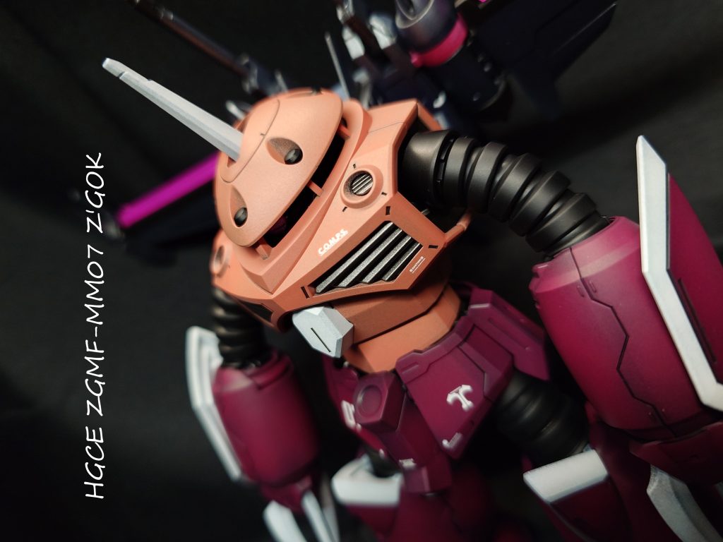 HGCE260 ZGMF-MM07 ズゴック(SEED FREEDOM Ver.) 『あの感動が”この手に!!”』