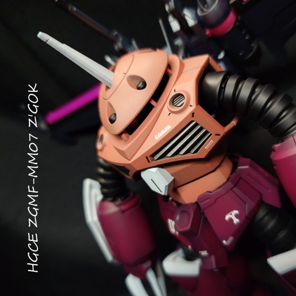 HGCE260 ZGMF-MM07 ズゴック(SEED FREEDOM Ver.) 『あの感動が”この手に!!”』