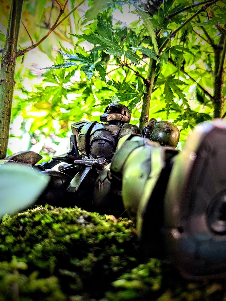 森の中のイメージ写真(zaku-kao8)