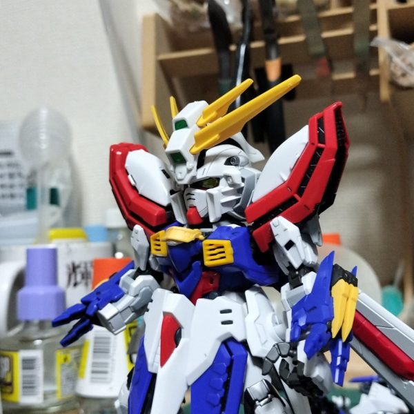 MGSDフリーダムにRGやハイレゾの外装を付けていく形で製作してます頭部はSDゴッドのアンテナ部を切り取り、頬ダクトと頬バルカンは瞬着で仮止めしてます肩はハイレゾのものにMGSDのジョイントを移植してますバックパックはキャノピーを切り落としてプラ板でジョイントを作って貼り付け差し込んでます他の外装についてはひっつき虫で仮止め雰囲気はこれで掴めたかな課題として胸部の展開の再現をどうするかがあるのですがギミックを再現するか、今はRGをつかってますが他のものに変えるか等まだまだ課題はある感じです（4枚目）