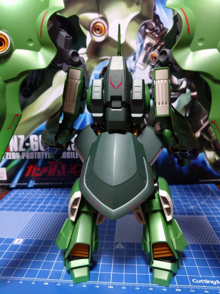 わりとあんまりまじまじとクシャの背中って見ない気がする