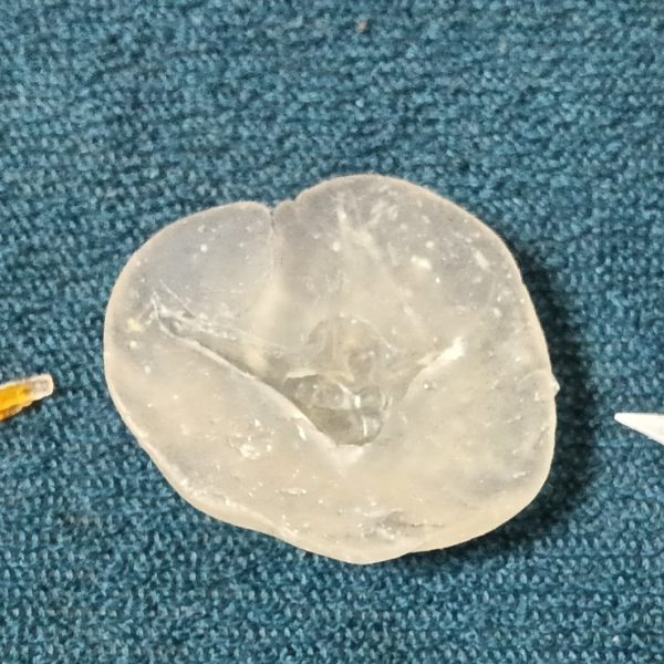 スペリオルディファイン･武者精太改造