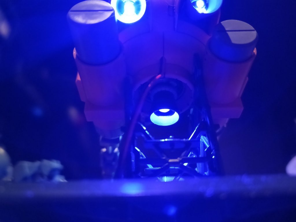 バーニアは定番のブルー☝️