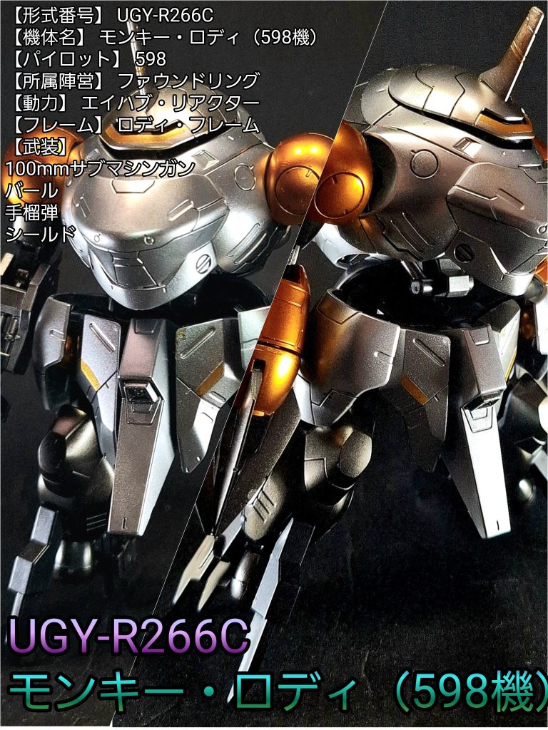 HG モンキーロデイ(598機)/モンキークラブロデイ