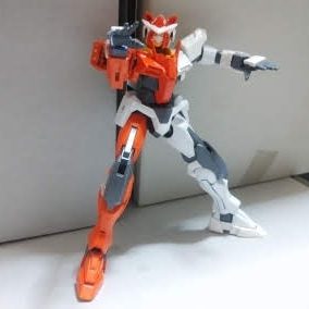 ダブルオーラッシングチーター