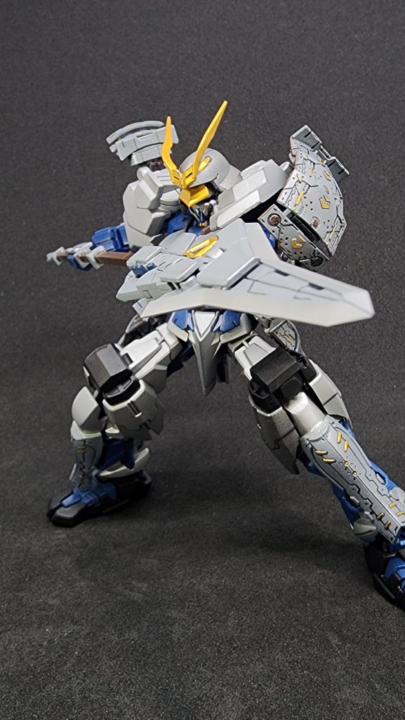 戦国アストレイ Type:T