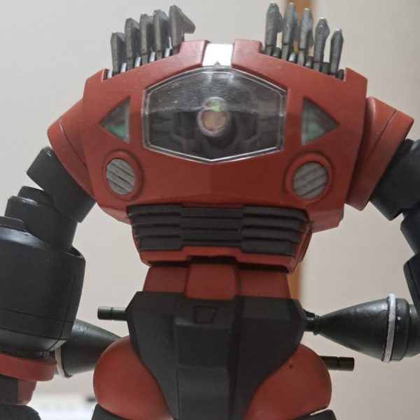 ゾゴック　運よく手に入れました