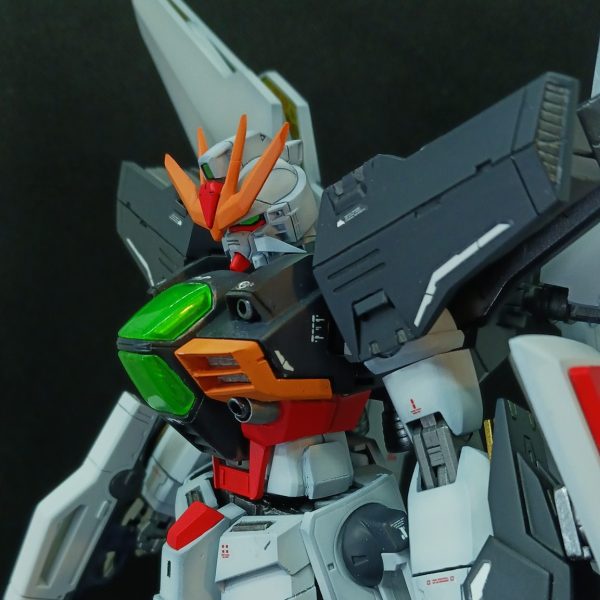 1/100 HG ガンダムダブルエックス