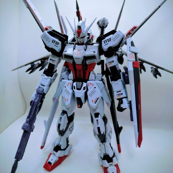 エールストライク、オオトリ装備