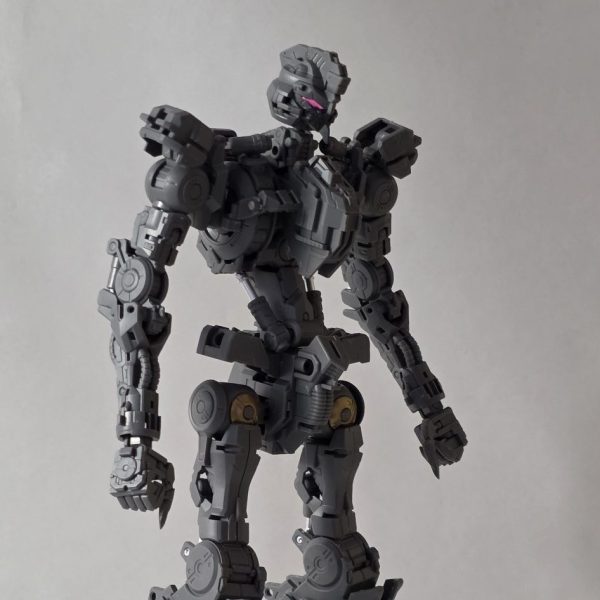 キマリスヴィダール