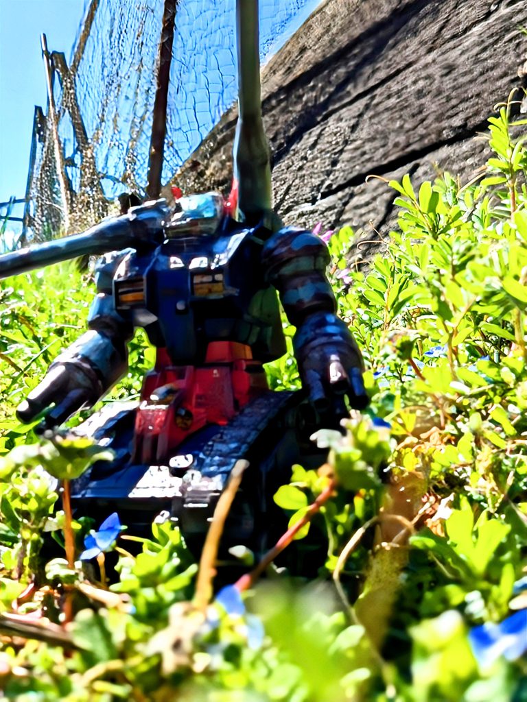 これも放置されて時間が経って発見された的な写真でした〜