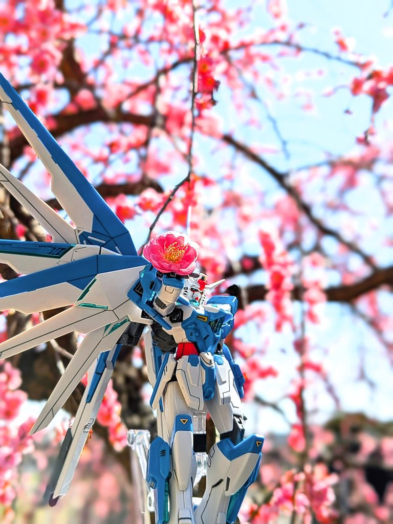 落ちてたのを手に乗っけて