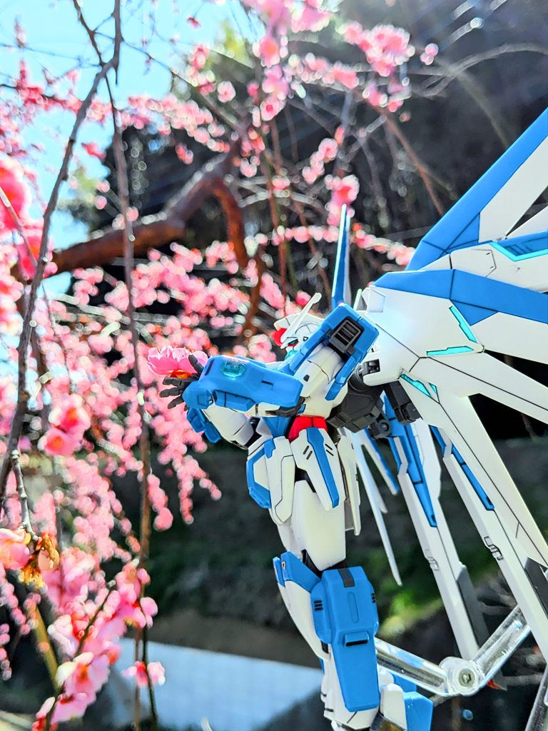 横顔イケメンですよね〜