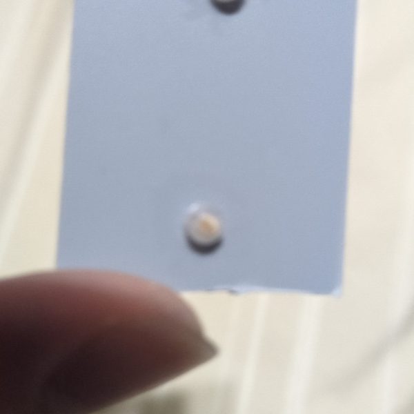 足を改造して塗装して終わりです！（4枚目）