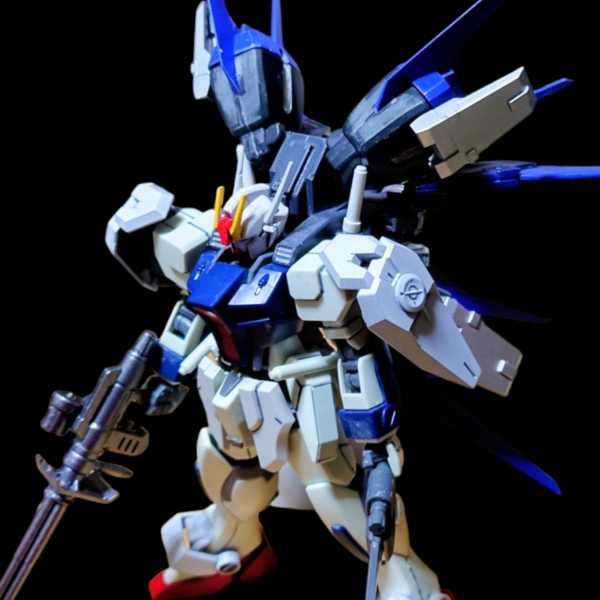 ダガーL装備試験(⁠ﾉ⁠◕⁠ヮ⁠◕⁠)⁠ﾉ⁠*⁠.⁠✧