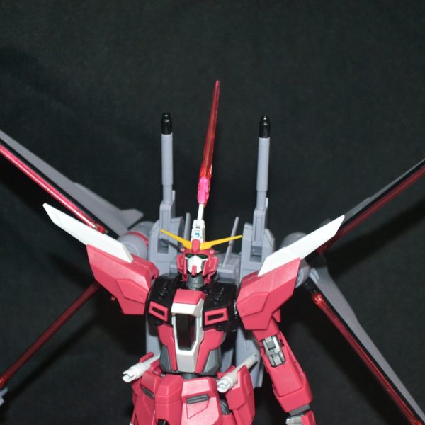 強さは力じゃない！！生きる意思だ！！