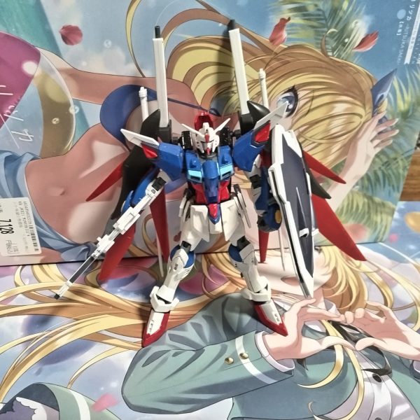 イモータルデスティニー