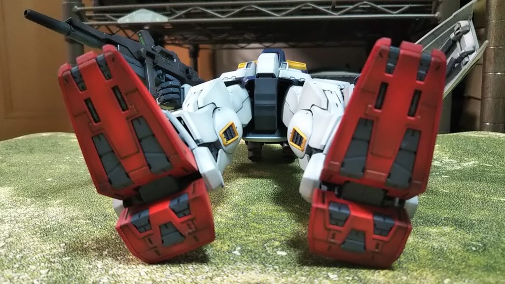 下からイヤン(*‘ω‘ *)