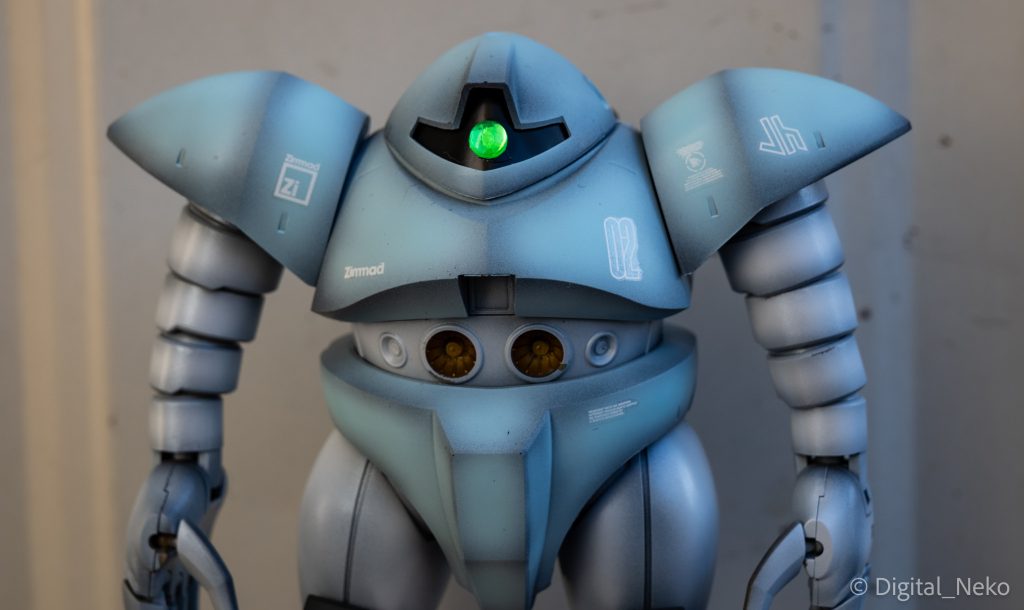 HGゴッグ・寒冷地カラー仕上げ