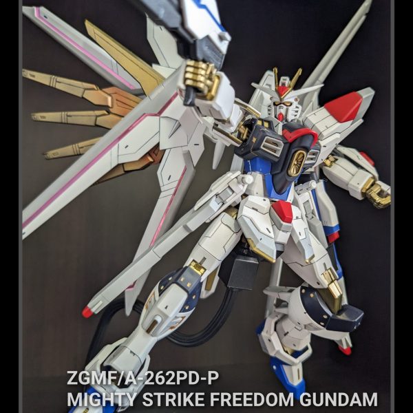 「僕は自分の手で未来を選ぶ」マイティストライクフリーダムガンダム