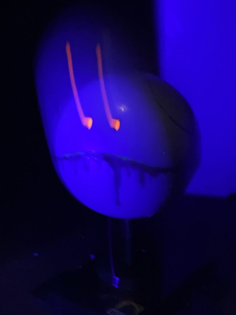 目は蛍光です。