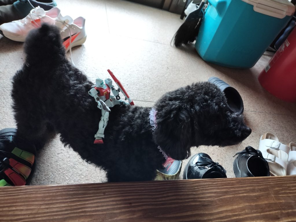 作品名：ハヤマオさん消えてね？<p>最近英検2級の勉強やらテストやら野球やらで滅多に浮上できてないんですがハヤマオさんの投稿しばらくないな〜って思ってたら消えてました 機種変でトラブった？ 乗っ取り？ ガンダム警察に捕まった？ それかバンダイ本社への恫喝容 […]</p>
