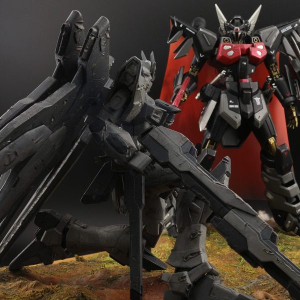 HG　ブラックナイトコードジバ ×ストライクフリーダム