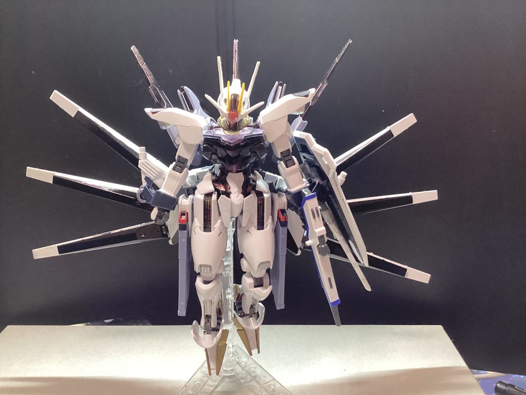 　　プロヴィデンスステージ他惑星から採集したGUND-ARMの技術を惜しまずに利用した最終型。ルブリスのビットとHi-νのファンネルが四方に広がる姿からプロヴィデンスステージと呼ばれることとなった。フリーダムステージよりも汎用性も高く、制圧力もこちらが長けているが、プロヴィデンスステージはあまりにも脳に負担がかかるためあまり利用されることはない。（そもそも一応キラが駆る設定なのにも関わらずプロヴィデンスと名乗るのはいかがなものなのだが）