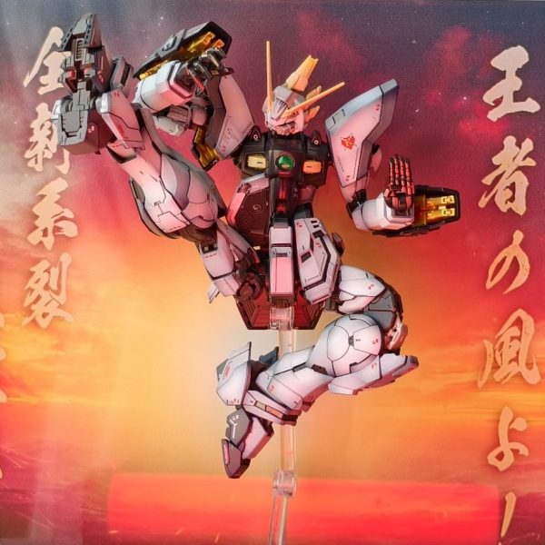 白い閃光  変な人が乗っている